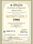 CMMI 3级认证